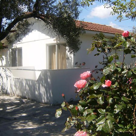 Pension Zoi Kolymbia Extérieur photo