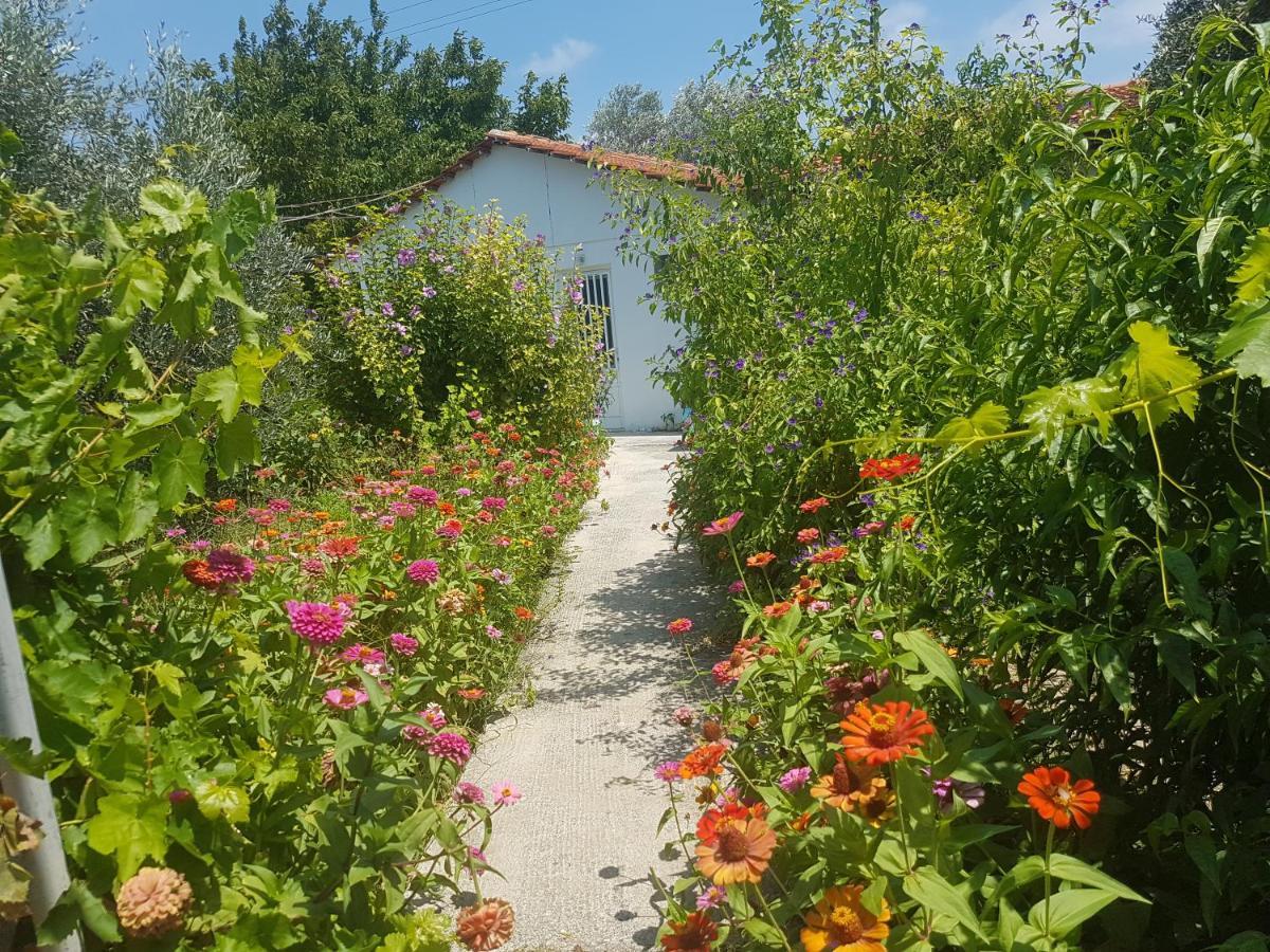 Pension Zoi Kolymbia Extérieur photo